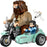 LEGO® Harry Potter™ Hagrid & Harry's Motorcycle Ride 76443